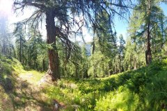 20220802_162500-3-scaled