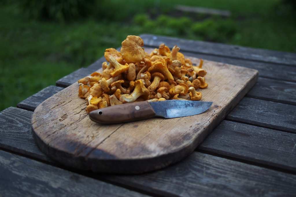 brown wooden chopping board with brown mushrooms on top beside knife