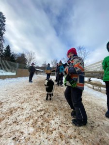 Visite du Bois-du-Petit-ChâteauVisite du Bois-du-Petit-Château