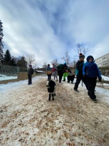 Visite du Bois-du-Petit-Château