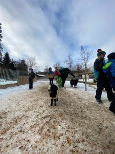 Visite du Bois-du-Petit-Château