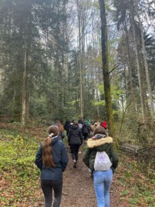 Construction de cabane en forêt