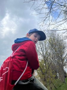 Construction de cabane en forêt