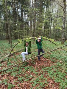 Construction de cabane en forêt