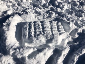 Concours de bonhomme de neige