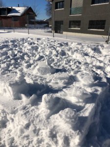 Concours de bonhomme de neige