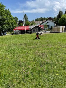 Apprentissage du pionnerisme